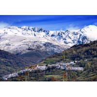 Halal Deer Iberian Ham CHARCHES, Gran Reserva Sierra Nevada logo - Similar company to Uag:Energy Gmbh
