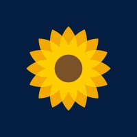 Della Mídia logo - Similar company to Essiê Sbc - Inteligência Em Mídias Regionais