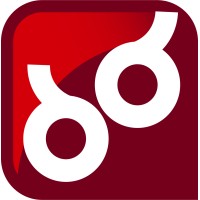 Bizarre Designs Solutions & Services logo - Similar company to Netorbit Solution