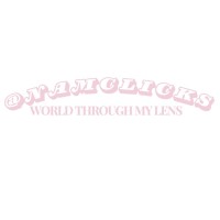 namclicks logo - Similar company to Pink Power