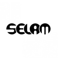 Selam logo - Similar company to Dmg Education Ltd