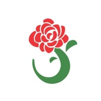 Flora Fujimaki logo - Similar company to Vesuvius Digital Services
