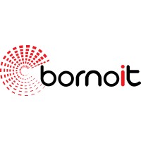 BornoIT logo - Similar company to Abacus Soft Bd Limited
