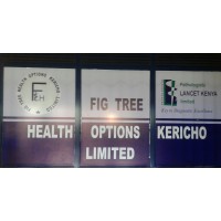 FIG TREE HEALTH OPTIONS KERICHO LTD logo - Similar company to Kericho County