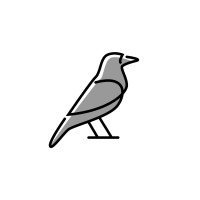 Raven Media Co logo - Similar company to Rna Reset: The Future Of Health & Wellness Solutions