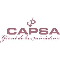 Capsa Camille Piquerez SA logo - Similar company to Horlyne Sa