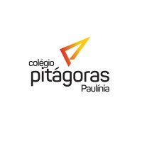 Colégio Pitágoras Paulinia logo - Similar company to Leaders School