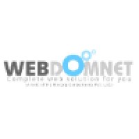Webdomnet logo - Similar company to Rajeriya
