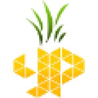 Yellow Pineapple Technologies L.L.C logo - Similar company to Lamee Technologies Llc