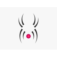 DeSpider logo - Similar company to Lion Media As