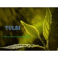 TULSI ENVIRONMENTAL SERVICES AND CONSULTANT!!! logo - Similar company to Urjit-Passco Solid Waste Management Systems Private Limited