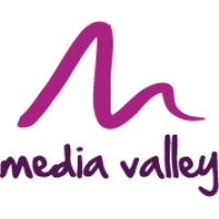 Media Valley logo - Similar company to Neptun Studio