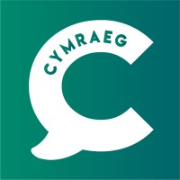 Marc Cymraeg | The Welsh Language Mark logo - Similar company to Birch Group Ltd