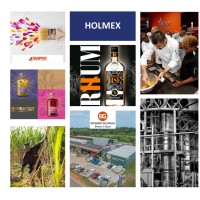 HOLMEX logo - Similar company to Cem