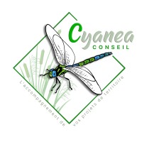 Cyanea conseil logo - Similar company to Assedea