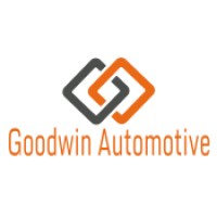 GOODWIN AUTOMOTIVE PRIVATE LIMITED logo - Similar company to Tcm Solar