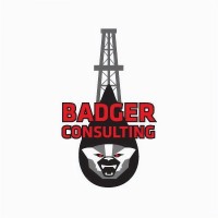Badger Consulting Services logo - Similar company to Massive Services