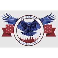 Blue Raven Campaigns logo - Similar company to Lbh Chicago