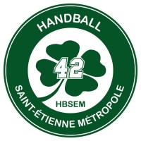 Handball Saint-Etienne Métropole 42 logo - Similar company to Maison Cros Pecresse