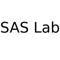 The Safe Autonomous Systems Lab logo - Similar company to Ucsd Advanced Robotics And Controls Lab