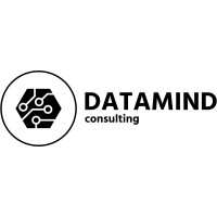Datamind Consulting logo - Similar company to Direction De La Statistique Agricole