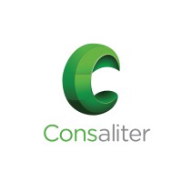 ConsAliter logo - Similar company to Dupro
