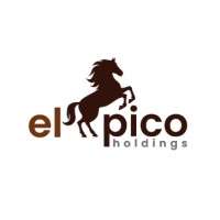 El Pico Holdings logo - Similar company to Driftly Digital