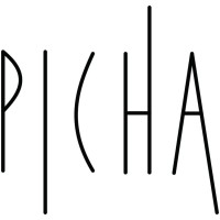 Picha Studio logo - Similar company to Vsl Studios