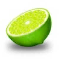 LimeCoding logo - Similar company to Lime Coding