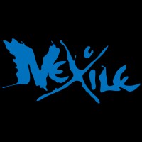 Nexile AB logo - Similar company to Already There