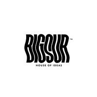 BIGSUR logo - Similar company to Big Sur S.C.R.L.