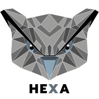 HEXA logo - Similar company to Hzv