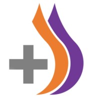 DipHex Solutions Limited logo - Similar company to Vgsk Technologies Inc