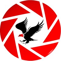 Eagle Mídia Digital logo - Similar company to Agência União Criativa