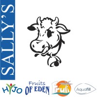 Gravitas Investments t/a Sally's logo - Similar company to Kiddies Academy