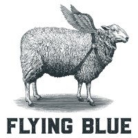 Flying Blue logo - Similar company to Rockskip