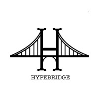 HypeBridge logo - Similar company to Hypefin