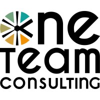 One Team Consulting BE logo - Similar company to Dgtz Be