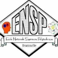 ENSP PRACTICE logo - Similar company to Pcbandassembly
