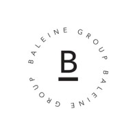Baleine Group logo - Similar company to Hoone
