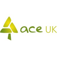 ACE UK logo - Similar company to Ace Angels Uk - Lady Painter / Decorator