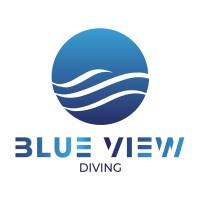 Blue View Diving logo - Similar company to Wealthstone Investment Group