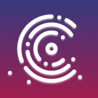 Community Vision CA logo - Similar company to Working Solutions Cdfi