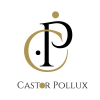 Castor Pollux Consulting logo - Similar company to Fall For Dance North