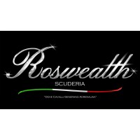 ROSWEALTH SCUDERIA logo - Similar company to Roswealth Organization