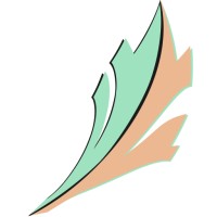 Black Sage Solutions