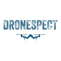 DroneSpect logo - Similar company to Hoverscape | Drone Inspection Services