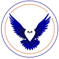Kennis van Sport logo - Similar company to Studio Sport