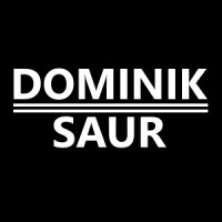 Dominik Saur logo - Similar company to Metalform (Dannevirke) Ltd