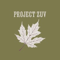 Project Zuv logo - Similar company to Shanakt